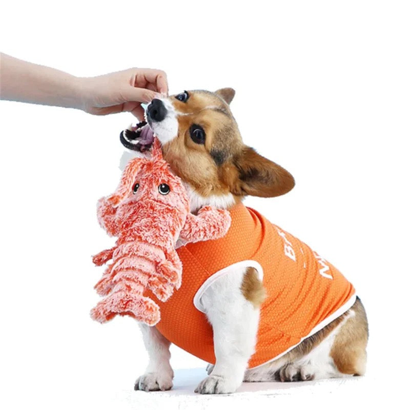 Lisslune | Wiggly Lobster Interactive Motion Toy for Dogs
