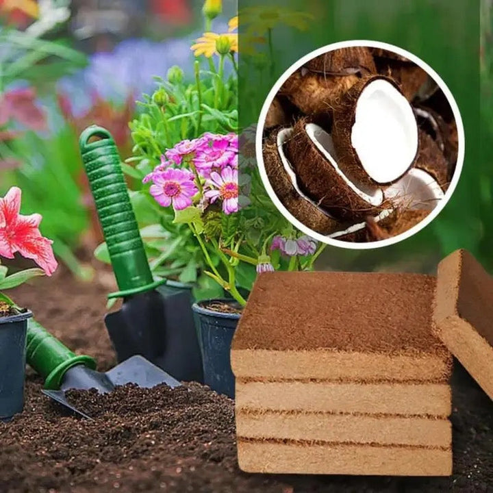 Lisslune | Fertilized Coconut Soil