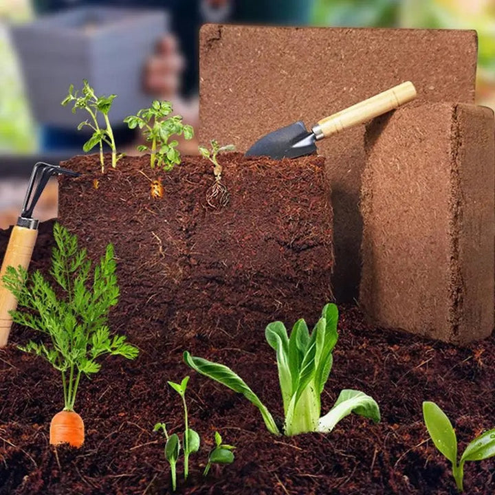 Lisslune | Fertilized Coconut Soil