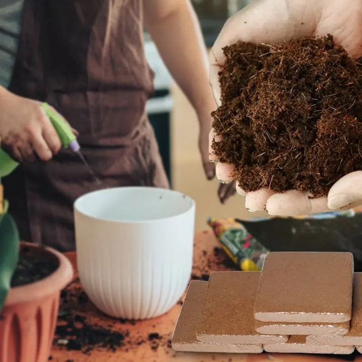 Lisslune | Fertilized Coconut Soil