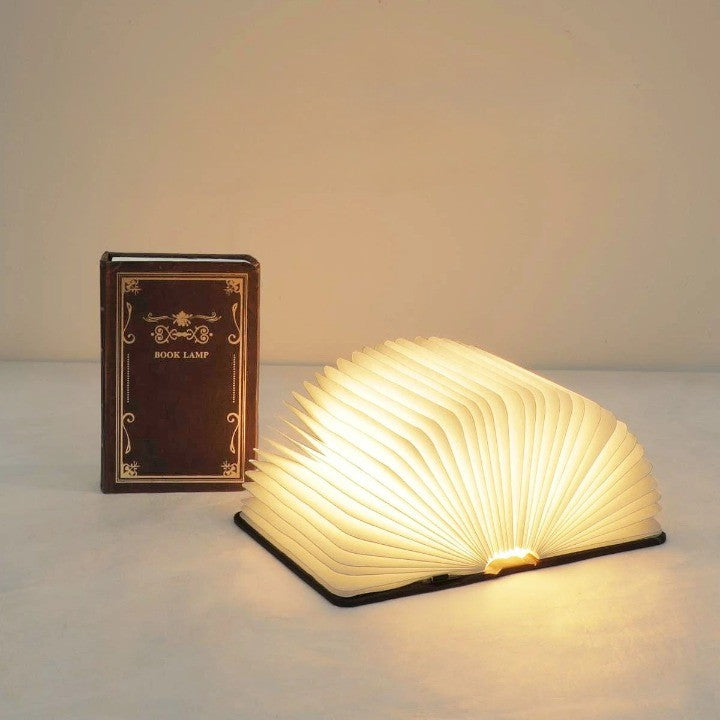 Lisslune | Illuminated Storybook Minimalist LED Lamp