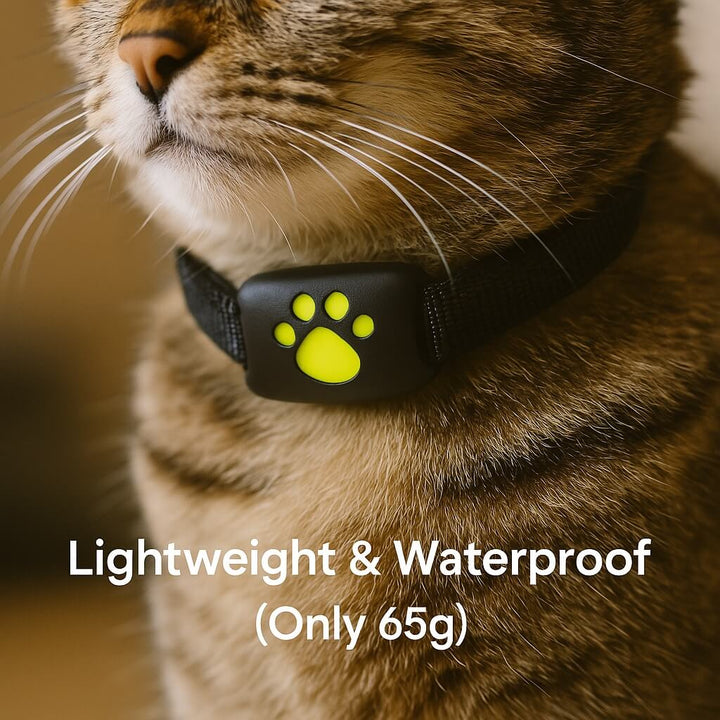 Lisslune | #1 Find  GPS Cat Tracker with Real-Time Location, Waterproof Design, and Activity Monitoring for Pet Safety and Tracking