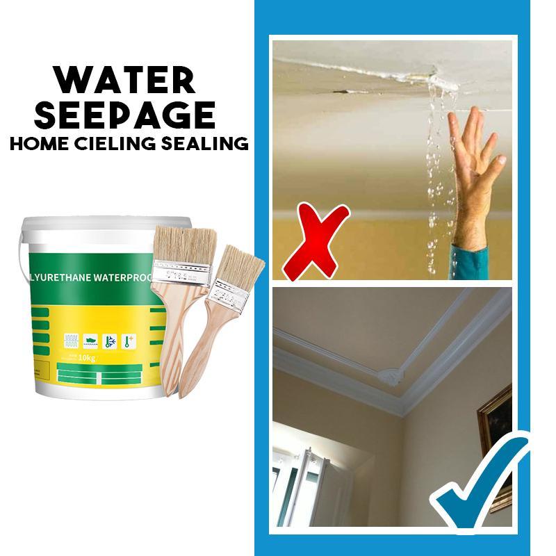 Lisslune | Innovative Sealer Mighty Paste