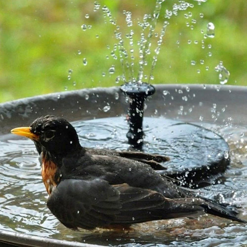 Lisslune | Solar Fountain Pump