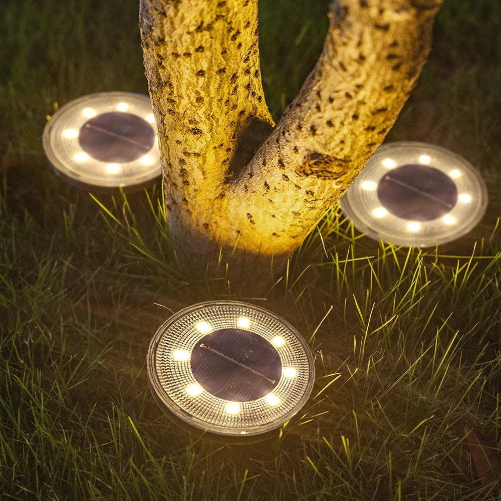 Lisslune | GreenGlow - Solar Outdoor Lamps