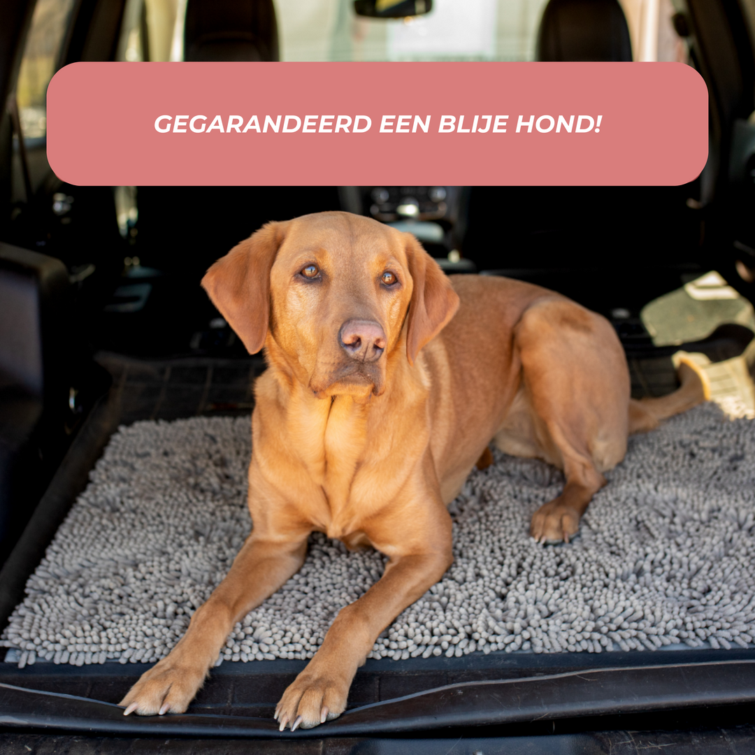 Lisslune | Joep Dog Door Mat – Super Absorbent Mat for Dirty Paws