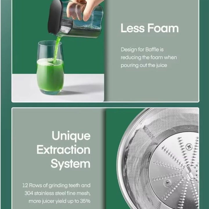 Lisslune | 800W Electric Juicer Machine with Dual Speed Settings