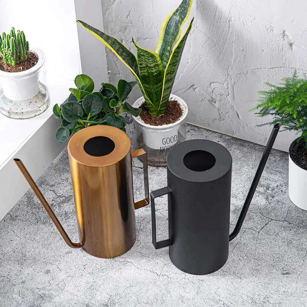 Lisslune | Japanese 1.5L Bonsai Watering Can