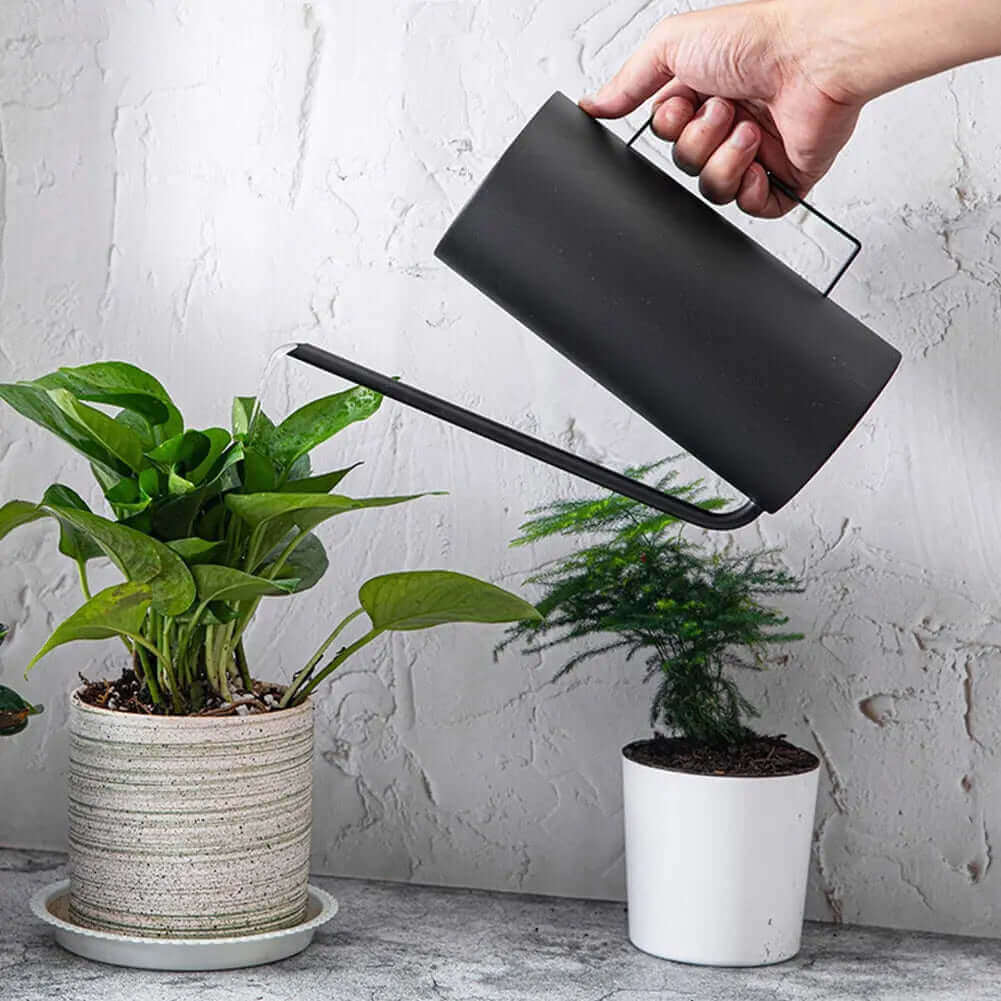 Lisslune | Japanese 1.5L Bonsai Watering Can