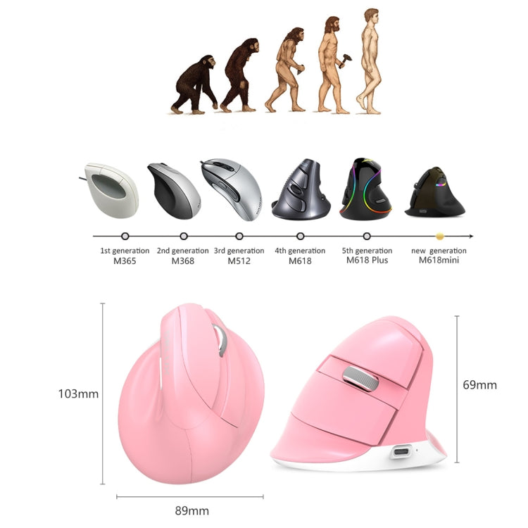 Lisslune | DELUX M618 Mini 2.4G Wireless 2400DPI USB rechargeable ergonomic vertical mouse (Pink)