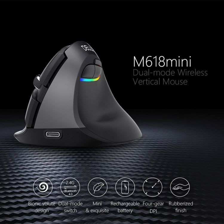 Lisslune | DELUX M618 Mini 2.4G Wireless 2400DPI USB Rechargeable Ergonomic Vertical Mouse (Gray)