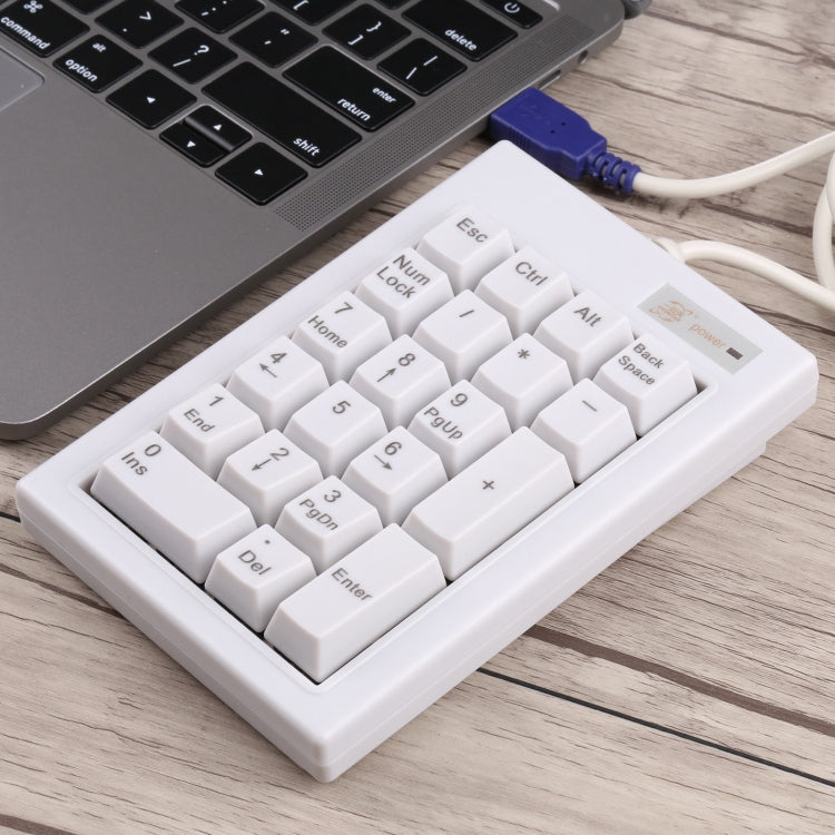 Lisslune | DX-21A 21-Keys USB Wired Mechanical Black Wave Mini Numeric Keypad (White)