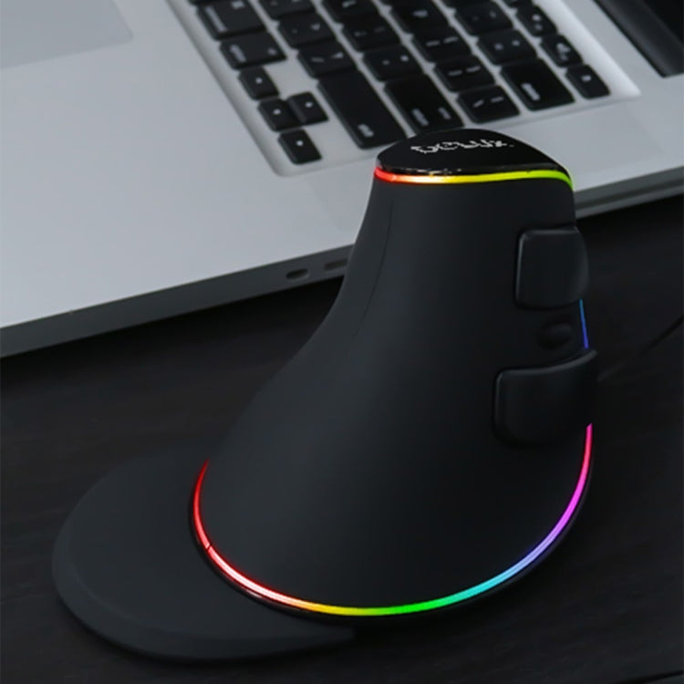 Lisslune | DELUX M618 Plus RGB Wired Optical Mouse Ergonomic Vertical Mouse 4000DPI