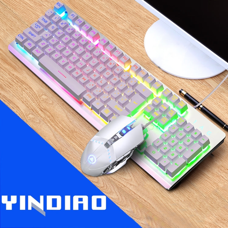 Lisslune | YINDIAO K002 USB Wired Mechanical Feel RGB Backlit Keyboard + Optical Mouse Set (White)