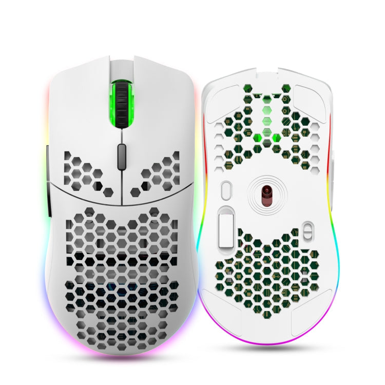 Lisslune | HXSJ T66 7 Button Colorful Lighting Programmable Gaming Wireless Mouse (White)