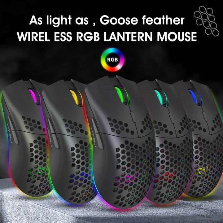Lisslune | HXSJ T66 7 Button Colorful Lighting Programmable Gaming Wireless Mouse (White)