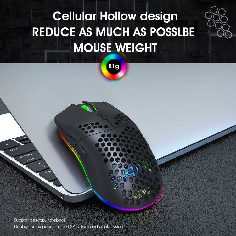 Lisslune | HXSJ T66 7 Button Colorful Lighting Programmable Gaming Wireless Mouse (White)