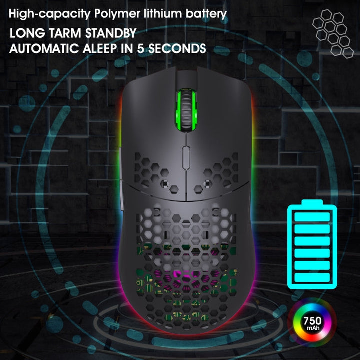 Lisslune | HXSJ T66 7 Button Colorful Lighting Programmable Gaming Wireless Mouse (White)