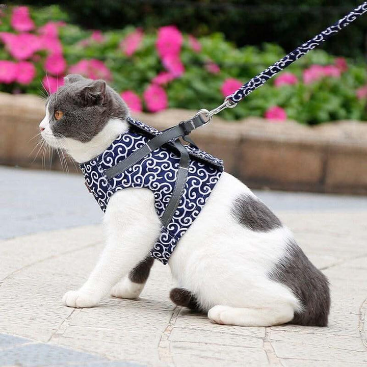 Lisslune | Cat harness vest for safety & comfort