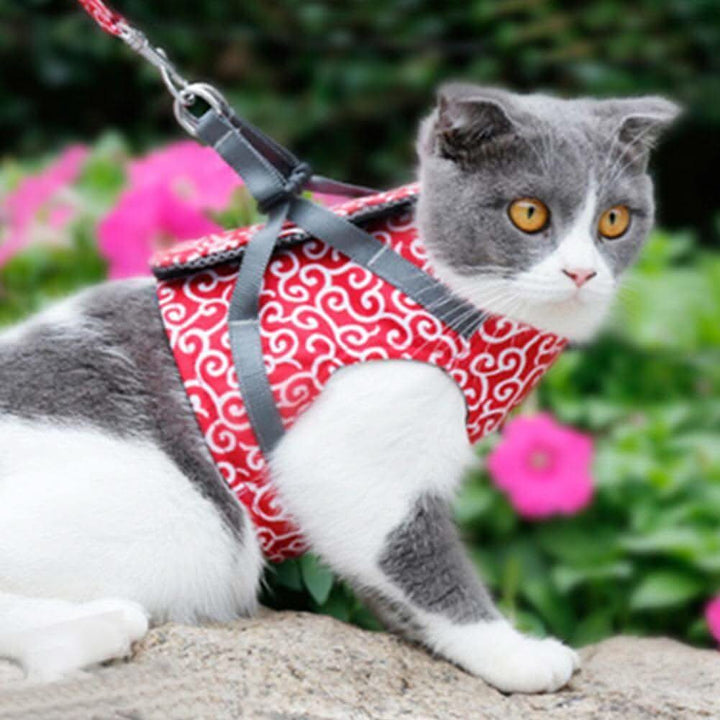 Lisslune | Cat harness vest for safety & comfort