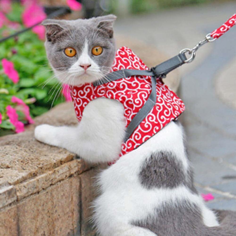 Lisslune | Cat harness vest for safety & comfort