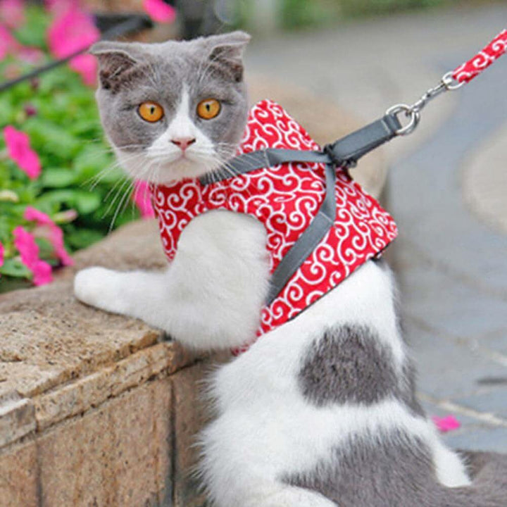 Lisslune | Cat harness vest for safety & comfort