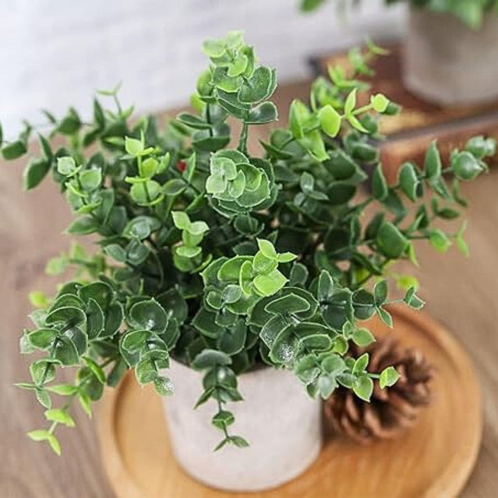 Lisslune | Leafora Artificial Plants in Modern Pots Decor | 3pcs Set