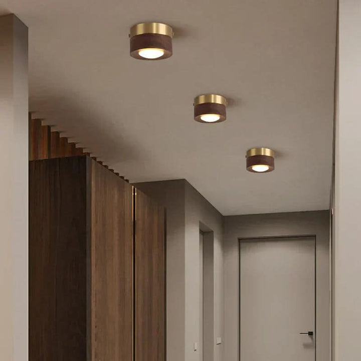Lisslune | Versatile LED lighting with walnut finish