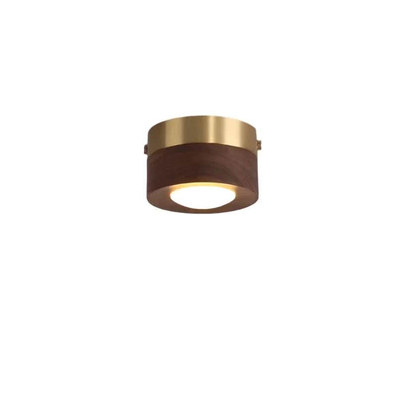 Lisslune | Versatile LED lighting with walnut finish