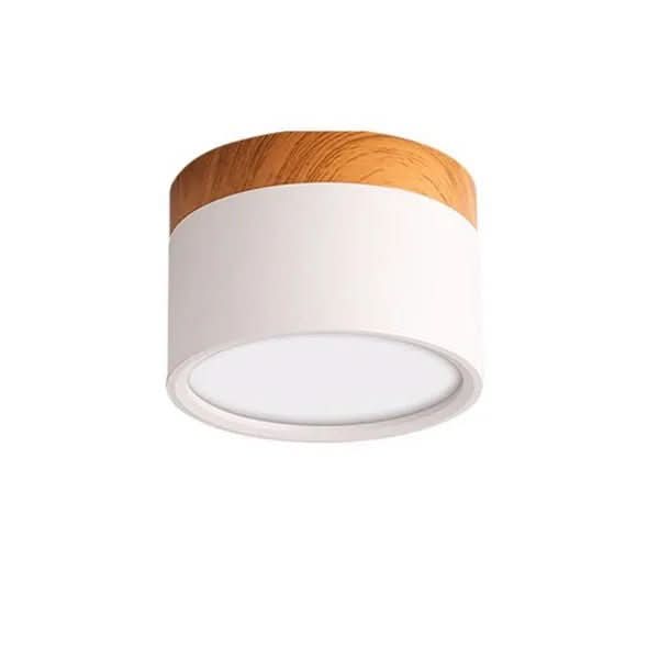 Lisslune | Modern dimmable LED ceiling light in Nordic design