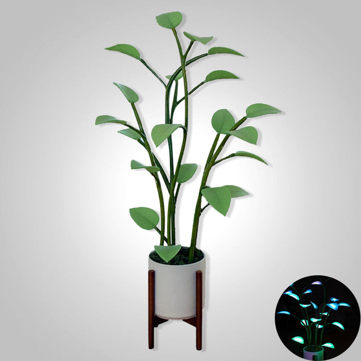 Skorter | Luminous Bloom | Magical LED Plant