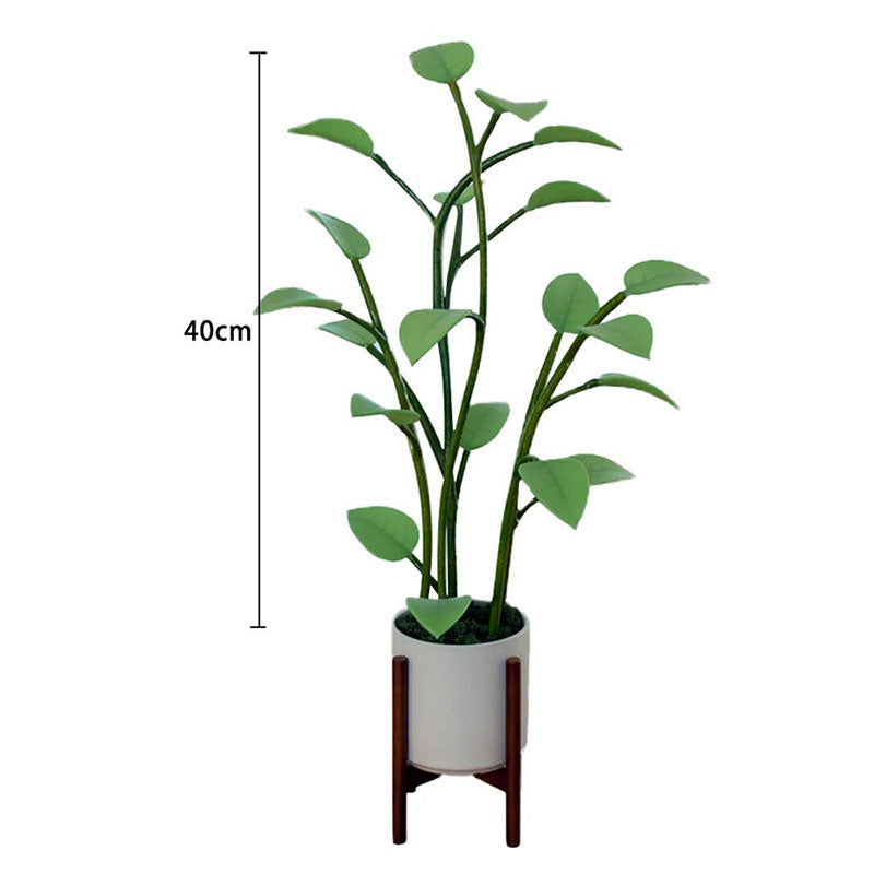 Skorter | Luminous Bloom | Magical LED Plant
