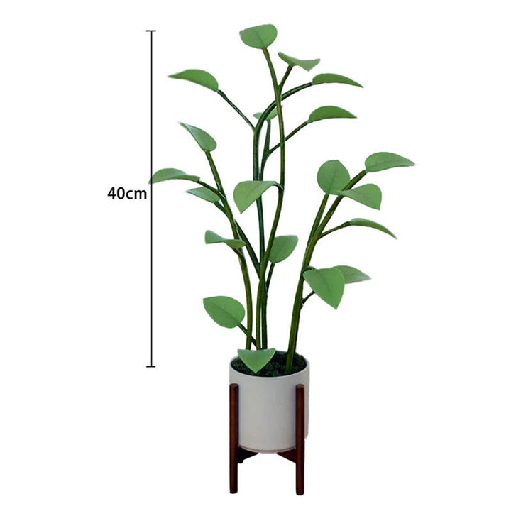 Skorter | Luminous Bloom | Magical LED Plant