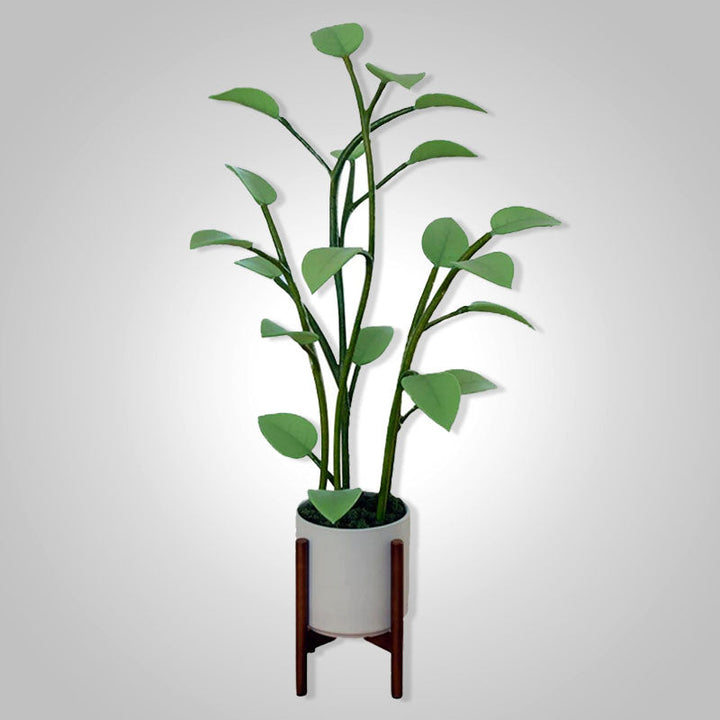 Skorter | Luminous Bloom | Magical LED Plant