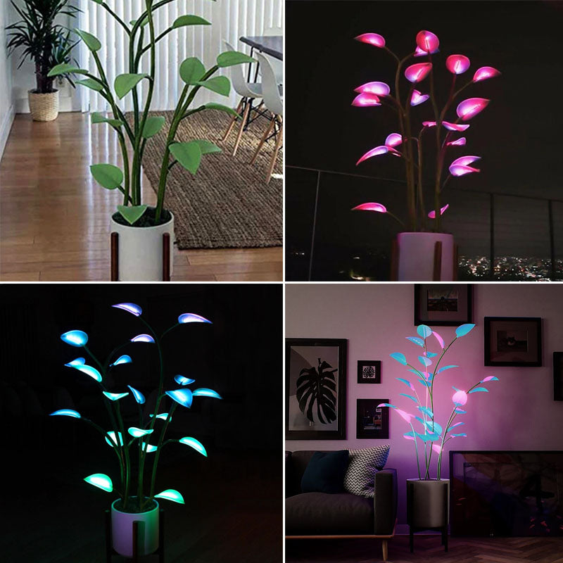 Skorter | Luminous Bloom | Magical LED Plant