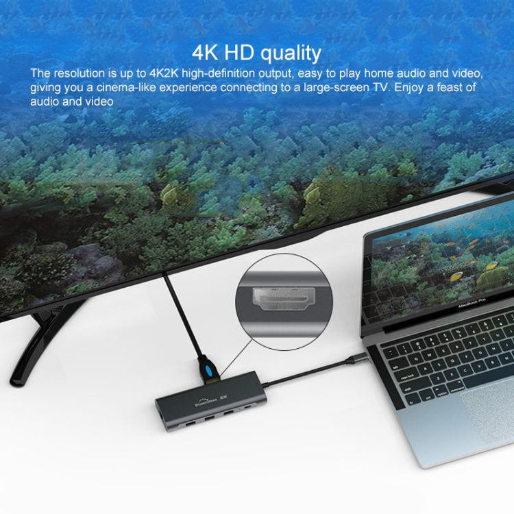 Lisslune | Blueendless 9 In 1 Multifunction Type-C / USB-C HUB Expansion Dock