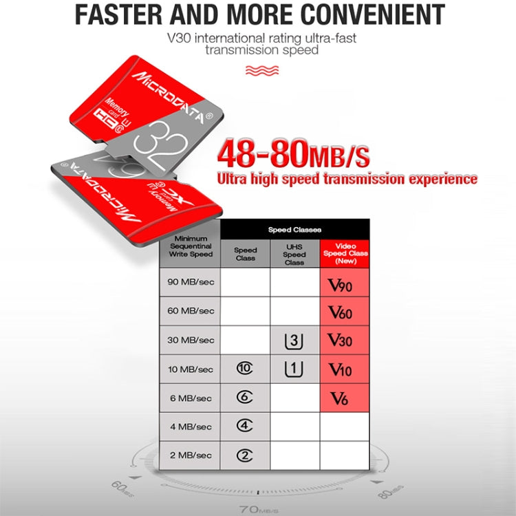 Lisslune | MICRODATA 256GB Class 10 Red and Gray TF (Micro SD) Memory Card