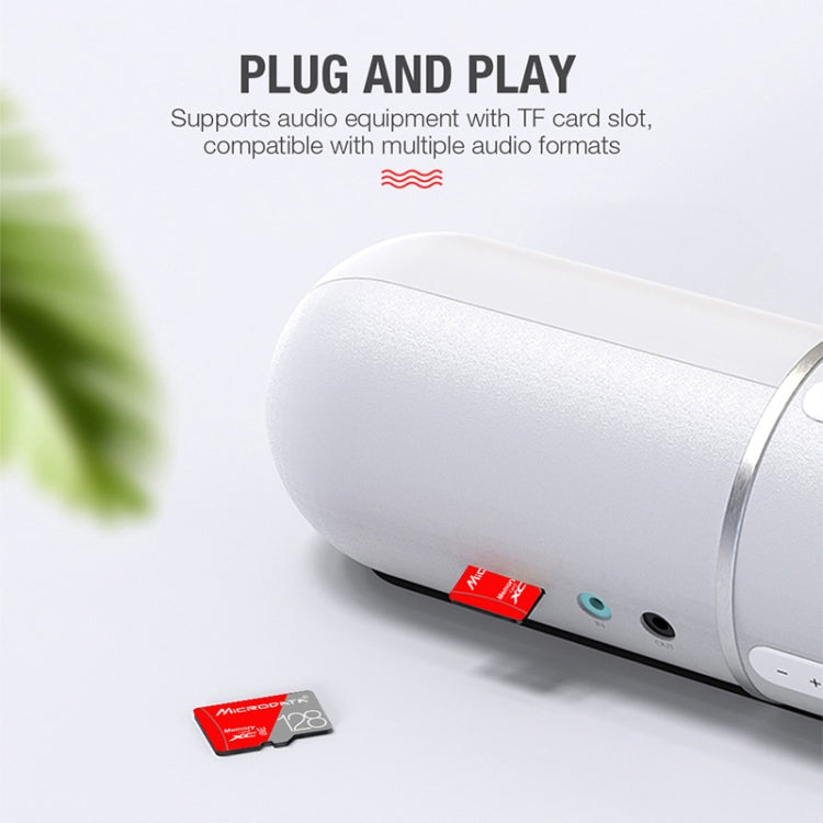 Lisslune | MICRODATA 256GB Class 10 Red and Gray TF (Micro SD) Memory Card