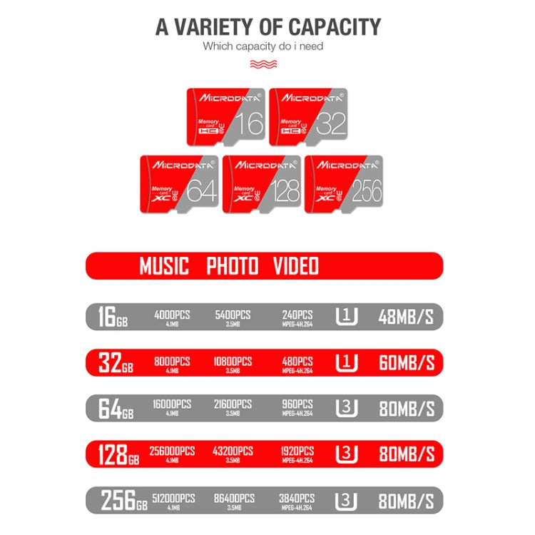 Lisslune | MICRODATA 256GB Class 10 Red and Gray TF (Micro SD) Memory Card