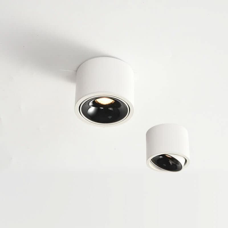 Lisslune | Minimalistic LED Ceiling Light with Adjustable Spotlight
