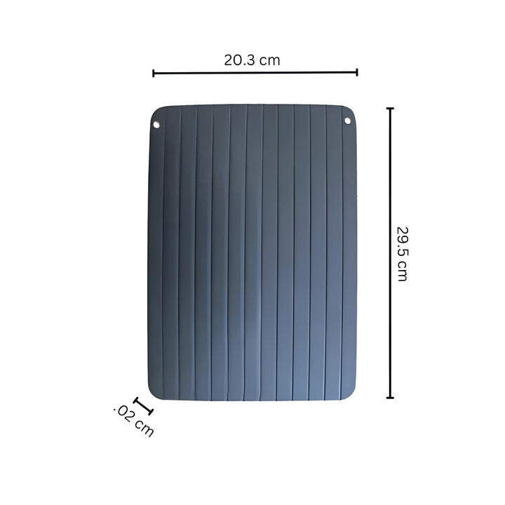 Lisslune | Fast Defrosting Tray
