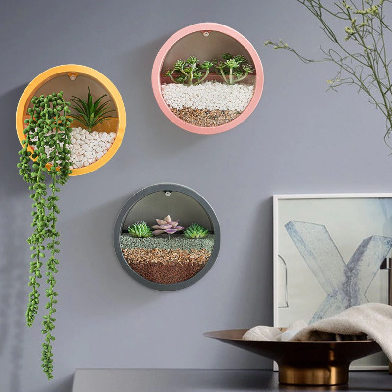 Rynx Sand Art Wall Planter Box