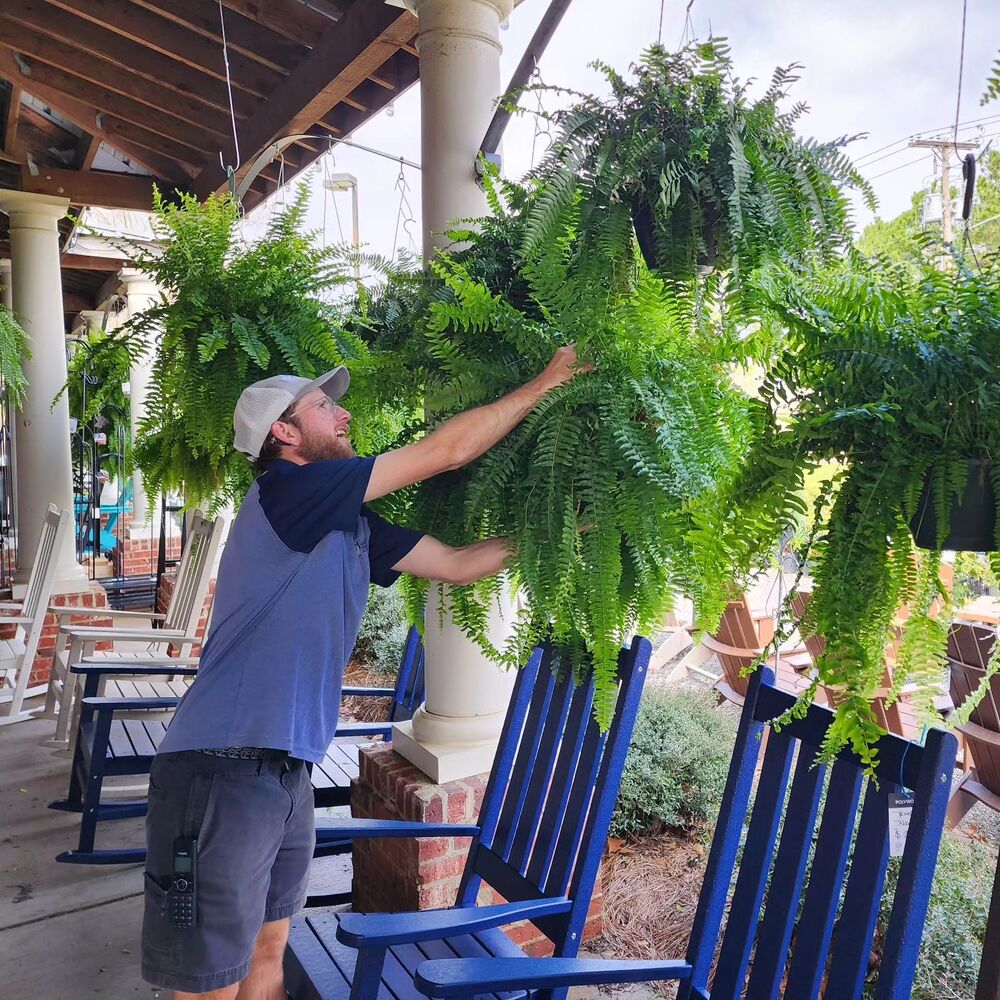 Lisslune | UV-Resistant Lifelike Artificial Boston Fern – Perfect for Outdoor Décor