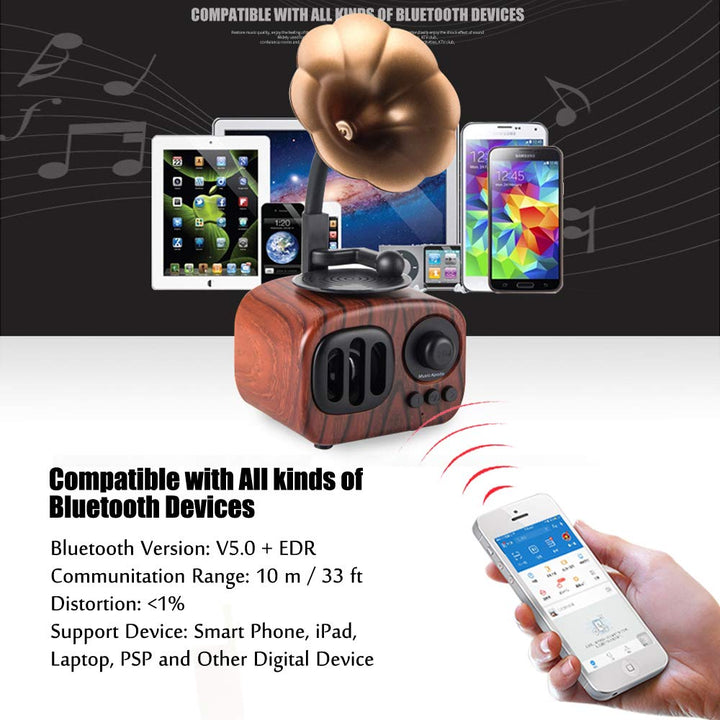 Lisslune | Melotone Classic Bluetooth Turntable