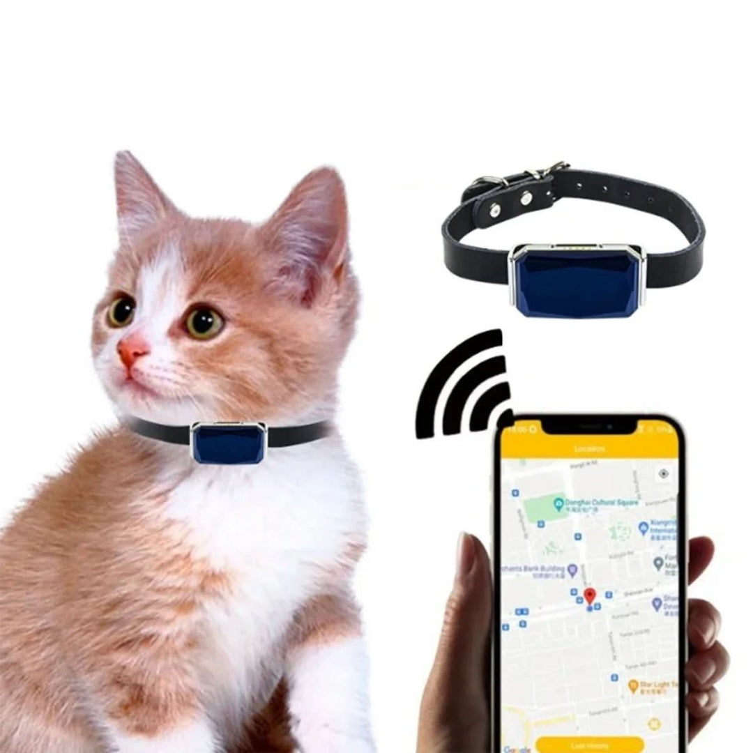 Lisslune | Real-time tracking for vehicles, children & pets