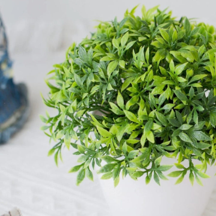 Lisslune | Minimalist Artificial Boxwood Bonsai Pot Decor