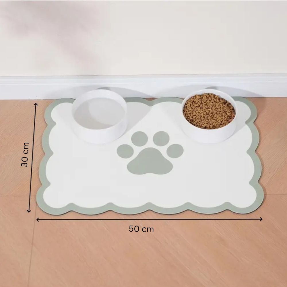 Lisslune | Pawfect Non-Slip Pet Mat