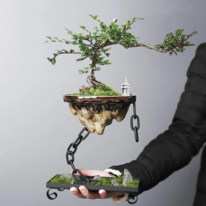 Lisslune | Fashion Hanging Succulent Planter