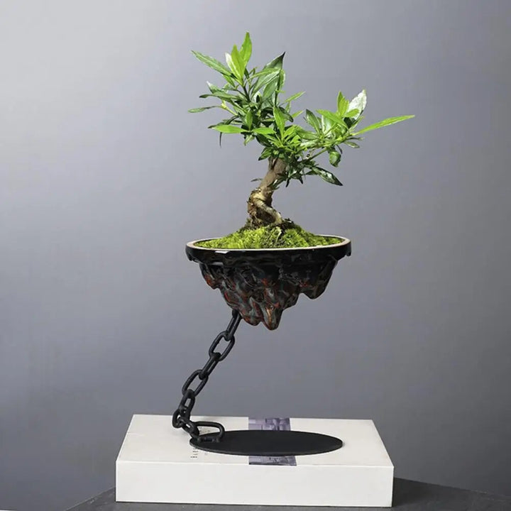Lisslune | Fashion Hanging Succulent Planter