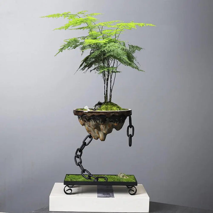 Lisslune | Fashion Hanging Succulent Planter